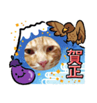 クリスマスとお正月保護猫スタンプ（個別スタンプ：24）