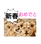 たけしのスタンプ 年始年末2（個別スタンプ：3）