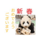 たけしのスタンプ 年始年末2（個別スタンプ：4）