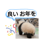 たけしのスタンプ 年始年末2（個別スタンプ：5）