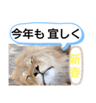 たけしのスタンプ 年始年末2（個別スタンプ：7）