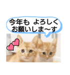 たけしのスタンプ 年始年末2（個別スタンプ：8）