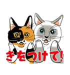 くまとペンギン2匹の猫の年末年始2022-2023（個別スタンプ：20）