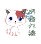 普段図解ねこ（個別スタンプ：1）