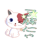 普段図解ねこ（個別スタンプ：5）