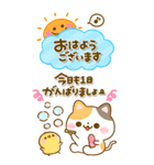 ねこねこにゃんこ♡大人の気遣い（個別スタンプ：12）