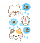 ねこねこにゃんこ♡大人の気遣い（個別スタンプ：17）