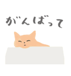 24色のねこ（個別スタンプ：6）