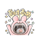 フェレット 花鈴と空のイベント スタンプ（個別スタンプ：3）