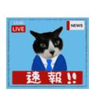 ハチワレさんの日常で使えるぎゃぐすたんぷ（個別スタンプ：12）