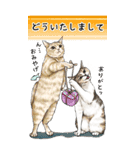 冬に何かと使える猫にまみれたがりスタンプ（個別スタンプ：13）