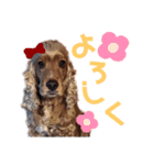 MIYU_20221210（個別スタンプ：1）
