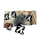 こしあん様（個別スタンプ：4）