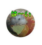 こしあん様（個別スタンプ：7）