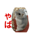 こしあん様（個別スタンプ：12）