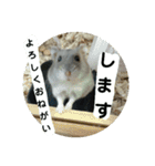 こしあん様（個別スタンプ：14）