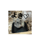 こしあん様（個別スタンプ：15）
