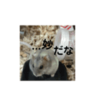 こしあん様（個別スタンプ：22）