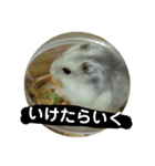 こしあん様（個別スタンプ：23）