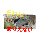 こしあん様（個別スタンプ：24）