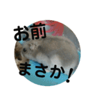 こしあん様（個別スタンプ：25）
