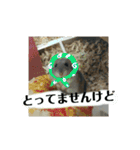こしあん様（個別スタンプ：26）