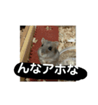 こしあん様（個別スタンプ：27）