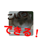 こしあん様（個別スタンプ：29）