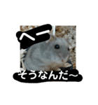 こしあん様（個別スタンプ：31）