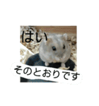 こしあん様（個別スタンプ：34）