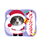 メロネロ年末年始…（個別スタンプ：2）