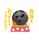 メロネロ年末年始…（個別スタンプ：5）