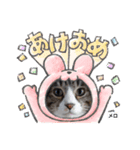 メロネロ年末年始…（個別スタンプ：6）