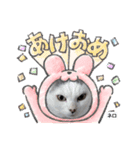 メロネロ年末年始…（個別スタンプ：7）