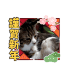 メロネロ年末年始…（個別スタンプ：8）