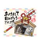 メロネロ年末年始…（個別スタンプ：11）