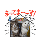 メロネロ年末年始…（個別スタンプ：14）