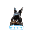Minchopila4（個別スタンプ：3）
