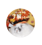 Minchopila4（個別スタンプ：4）