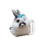 Minchopila4（個別スタンプ：19）