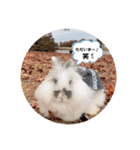 Minchopila4（個別スタンプ：29）