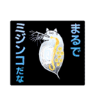 とても可愛いピンクの猫スタンプ（個別スタンプ：32）