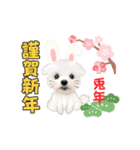 うさぎマルチーズ！で新年のご挨拶♪（個別スタンプ：2）