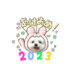 うさぎマルチーズ！で新年のご挨拶♪（個別スタンプ：10）