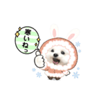 うさぎマルチーズ！で新年のご挨拶♪（個別スタンプ：21）
