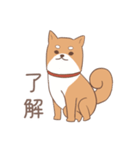 うちの気だるげな柴犬スタンプ（個別スタンプ：1）