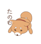 うちの気だるげな柴犬スタンプ（個別スタンプ：9）