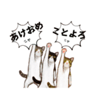 メリクリスタンプ22-23（個別スタンプ：13）