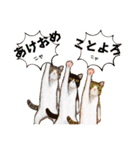 メリクリあけおめスタンプ（個別スタンプ：4）