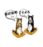 メリクリあけおめスタンプ（個別スタンプ：5）